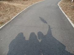 -白鹭湾湿地公园