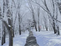 -中旅松花湖滑雪场