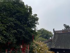 -兴福禅寺