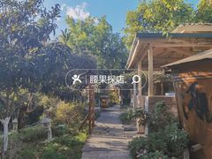 -映月潭温泉
