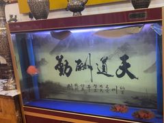 -伊帆食府·青海地方特色美食