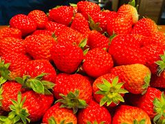 -铃木居酒屋(群星城店)