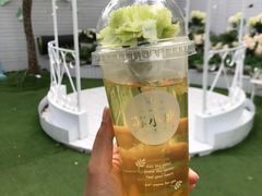 茉莉花茶-苏小糖(鼓浪屿三丘田花园店)