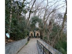 -上海佘山国家森林公园西佘山园