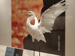 -旅顺博物馆
