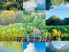 -贵阳市花溪国家城市湿地公园