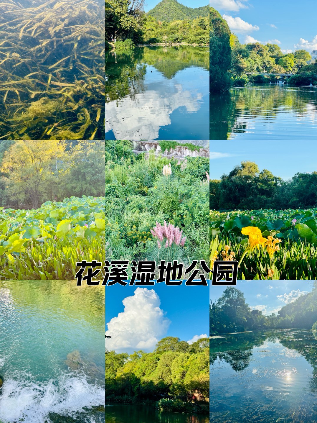 花溪湿地公园介绍图片