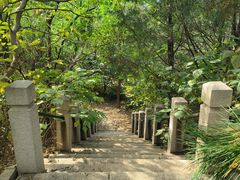 -云岗森林公园