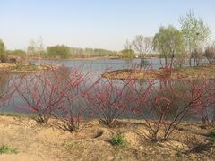 -东郊湿地公园