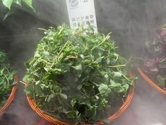 -传统菜农庄(皇姑路店)