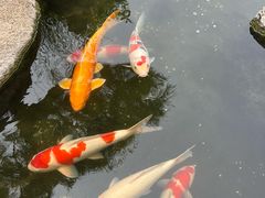 -罗红摄影艺术馆