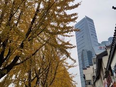 -爱上酸嘢