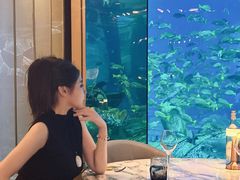 -亚特兰蒂斯•OSSIANO奥西亚诺海底餐厅