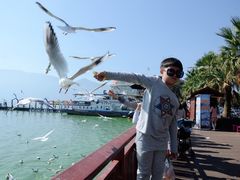 -海埂大坝