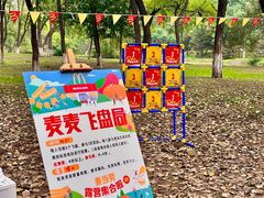 -长白岛森林公园