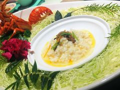 -松云泽