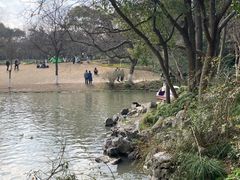 -上海方塔园