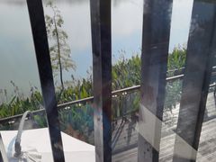 -昆山城市生态森林公园