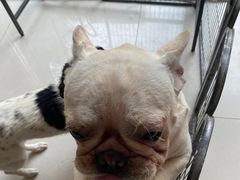 -平行世界·猫咖(首经贸店)