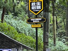 -碧峰峡风景区