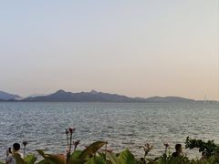 -深圳湾公园(南山区)