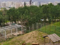 -青藏高原野生动物园