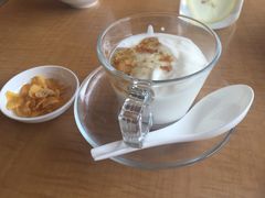 -东方饺子王(新阳路店)