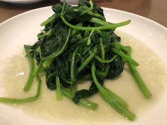 -张生记(丁香国际店)