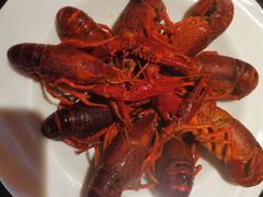 -京炭铜锅涮肉·羊蝎子·羊肉炉(保利·时光里店)