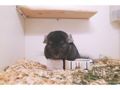 -龙猫仔乐园(惠福东路店)