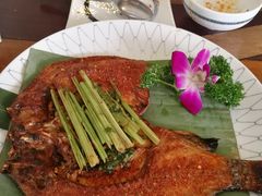 -紫滇源云南生态菜(丹凤街店)