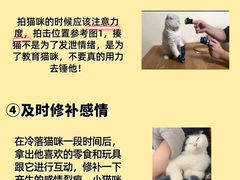 -佩兹宠物医院肿瘤专科·眼科·牙科(黄浦店)