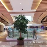这里附近是老虹口和闸北的居民区