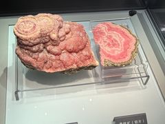 -安徽省地质博物馆