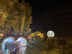 -巴倒烫陆派火锅山庄(南山总店)