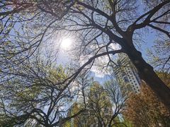 -元大都城垣遗址公园