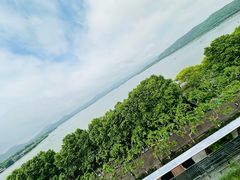 -杭州君悦酒店