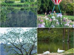 -南沙蒲洲花园