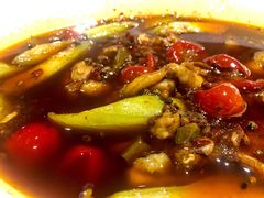 麻辣馋嘴蛙-渝信川菜(工体店)
