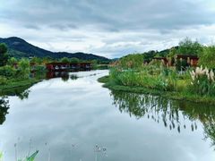-莫干山开元森泊·云顶餐厅