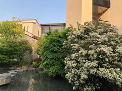 -上海崇明金茂凯悦酒店