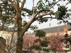 -郑州银基黄帝宫御温泉