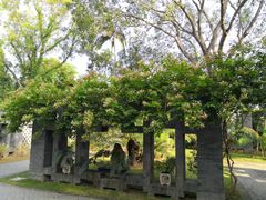 -深圳仙湖植物园