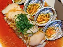 -甄御•海鲜新青岛菜(麦岛店)