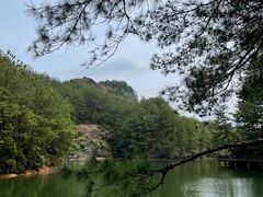 -冠豸山景区