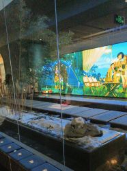 -爱儿美儿童摄影(朝阳公园店)