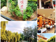 -新川办餐厅