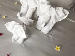 -三亚亚龙湾雅高铂尔曼别墅度假酒店