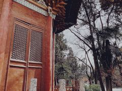 -西安碑林博物馆