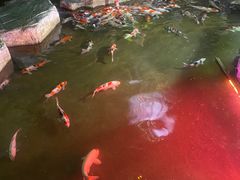 -泉城欧乐堡海洋极地世界